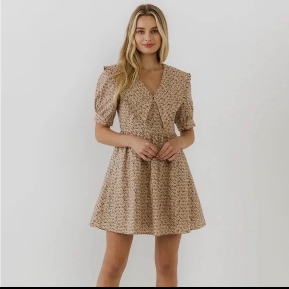 English Factory Statement Collared Mini Dress